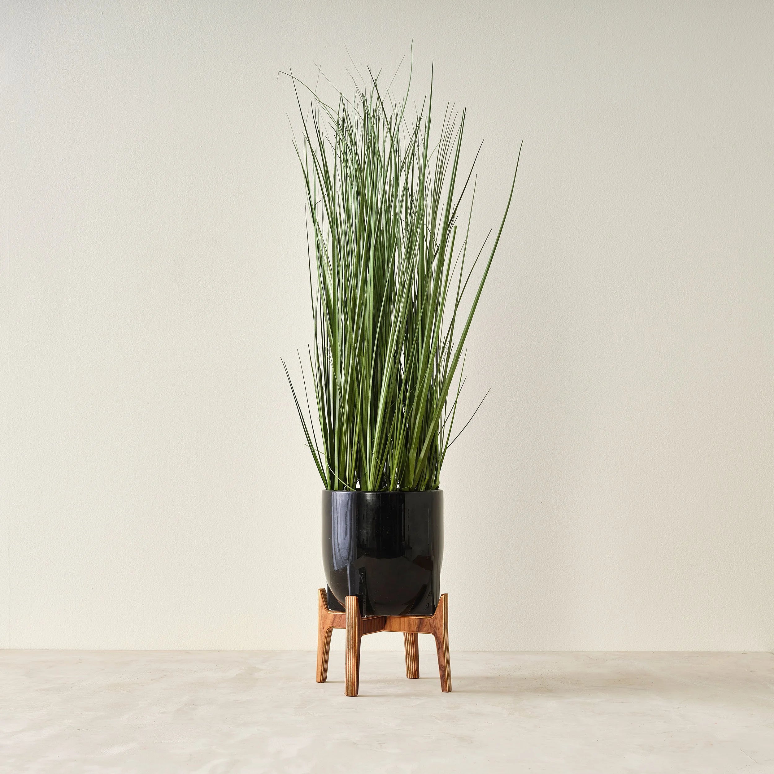 Plant Stand