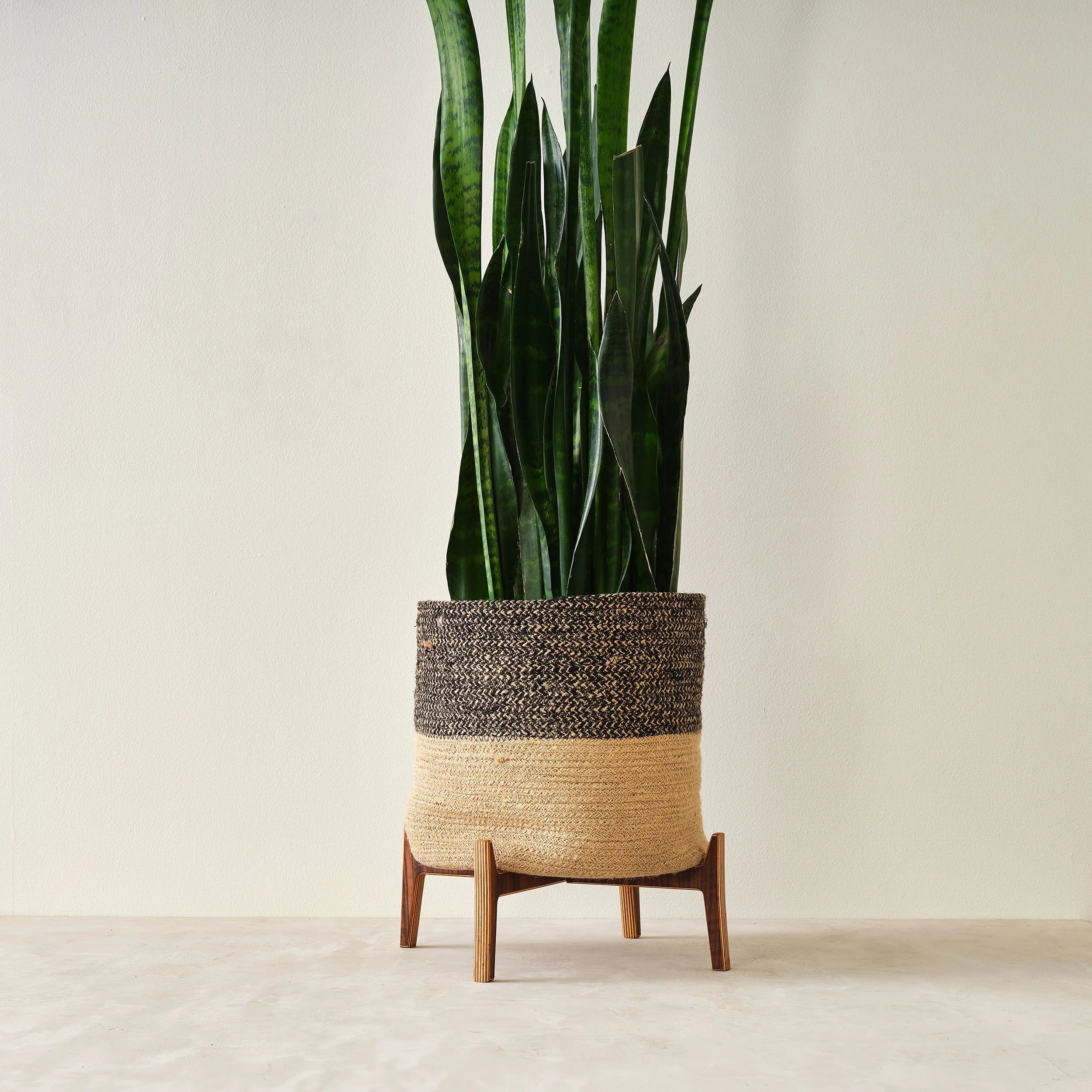 Plant Stand