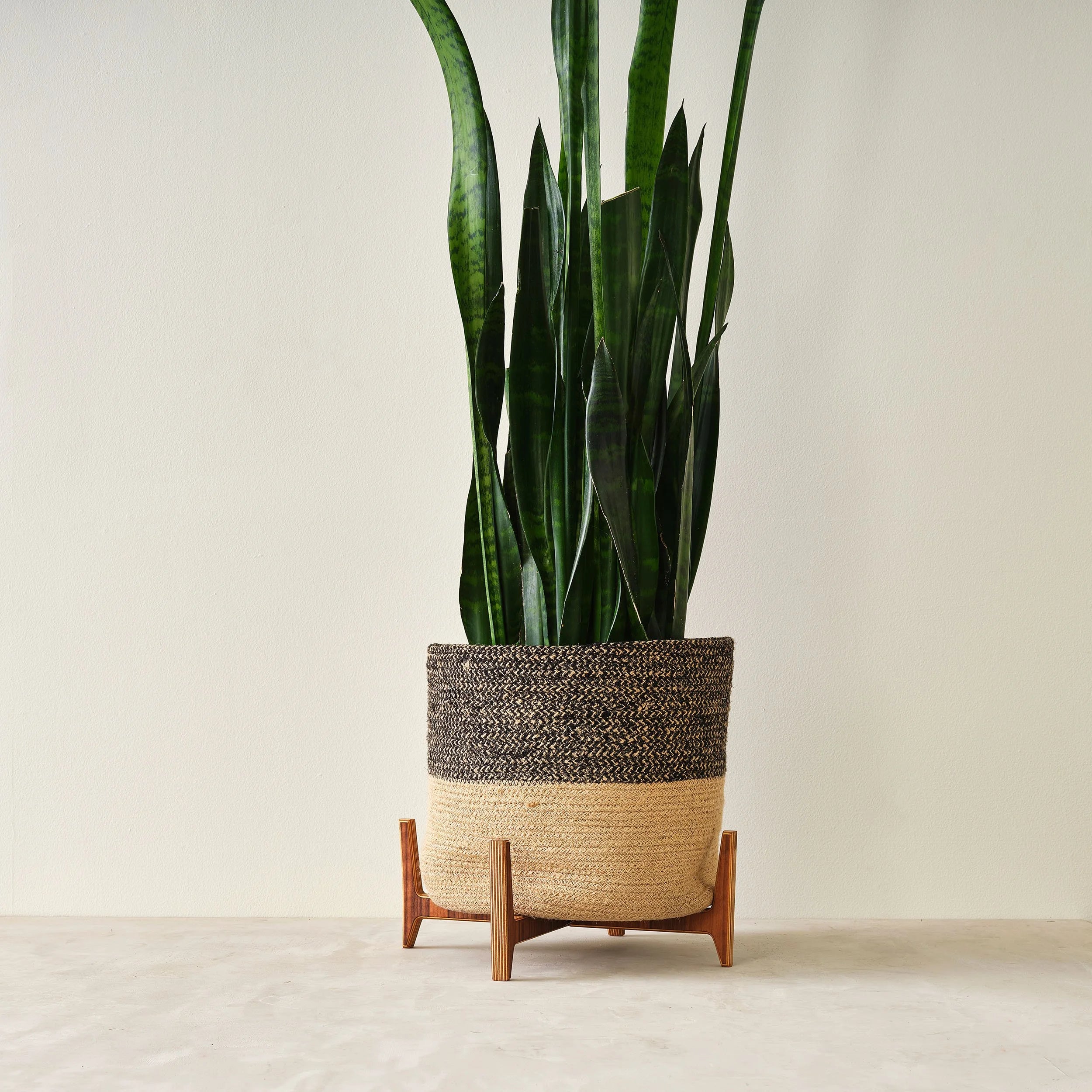 Plant Stand