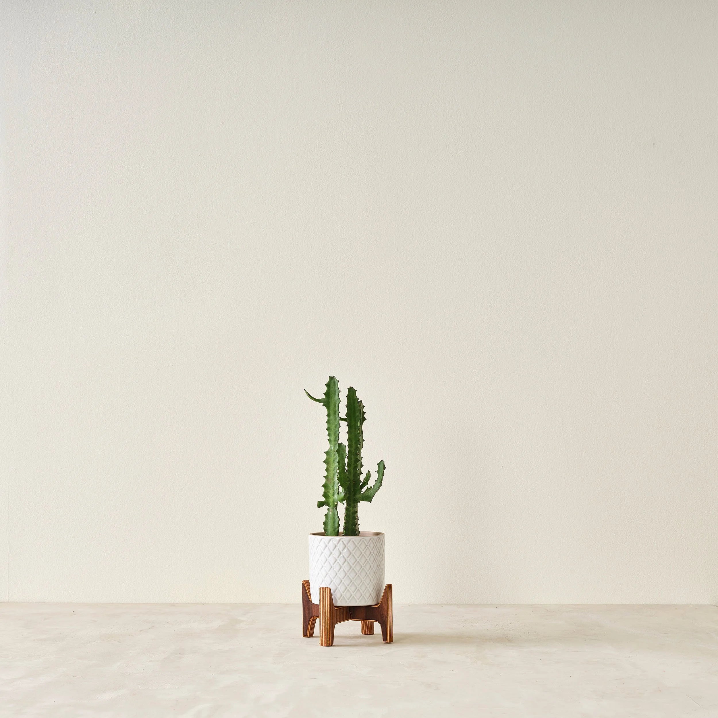 Plant Stand