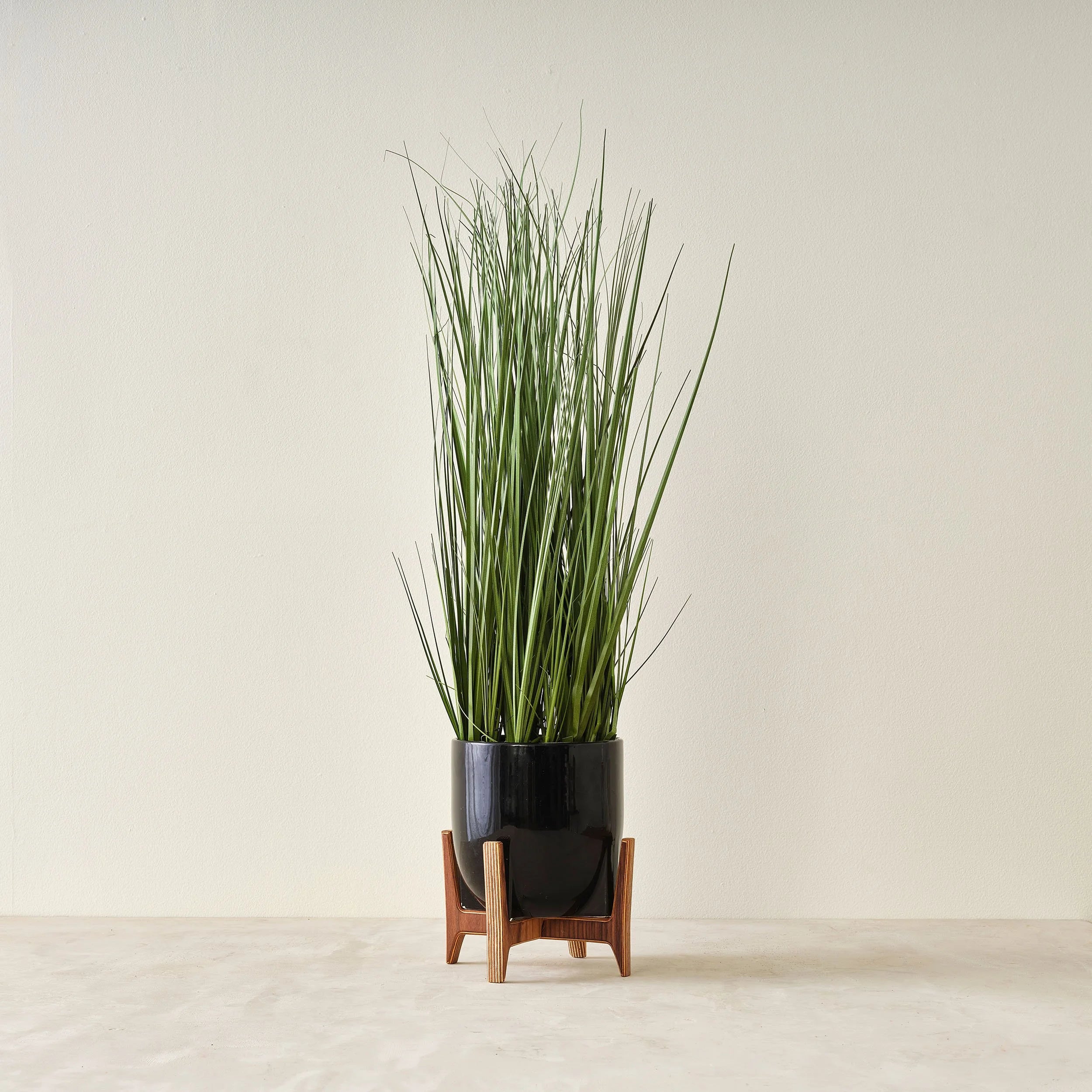 Plant Stand