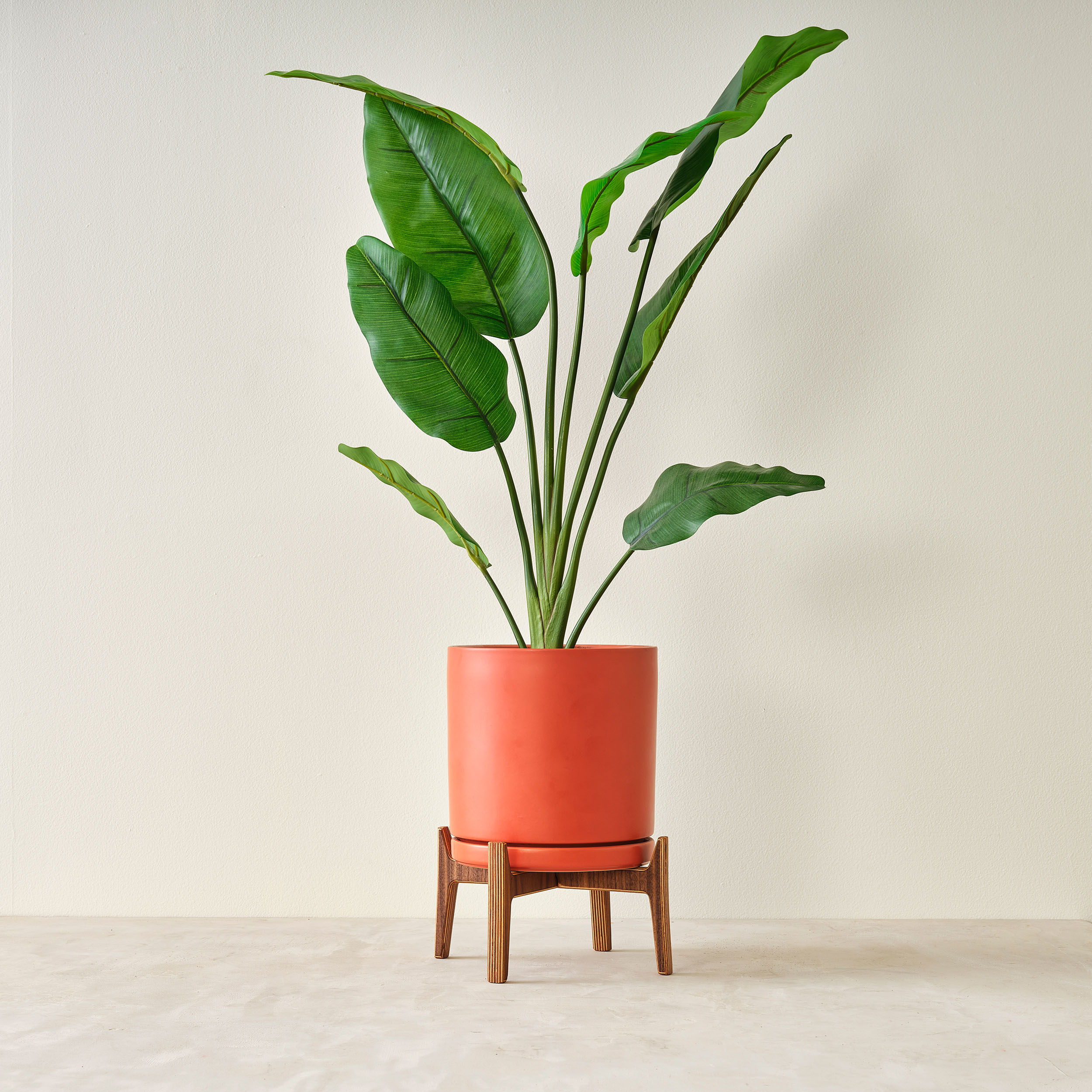 Plant Stand