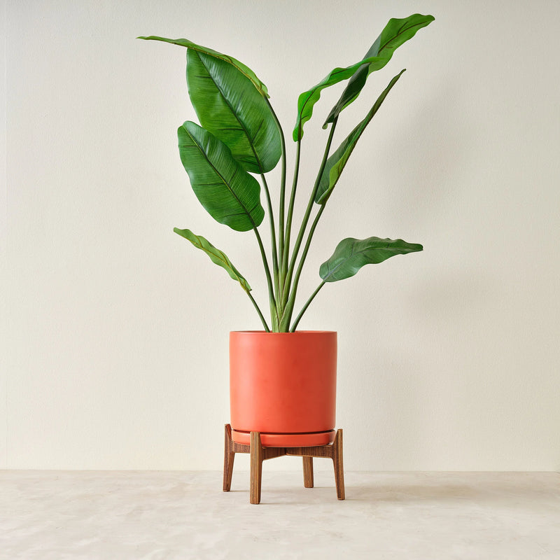 Plant Stand