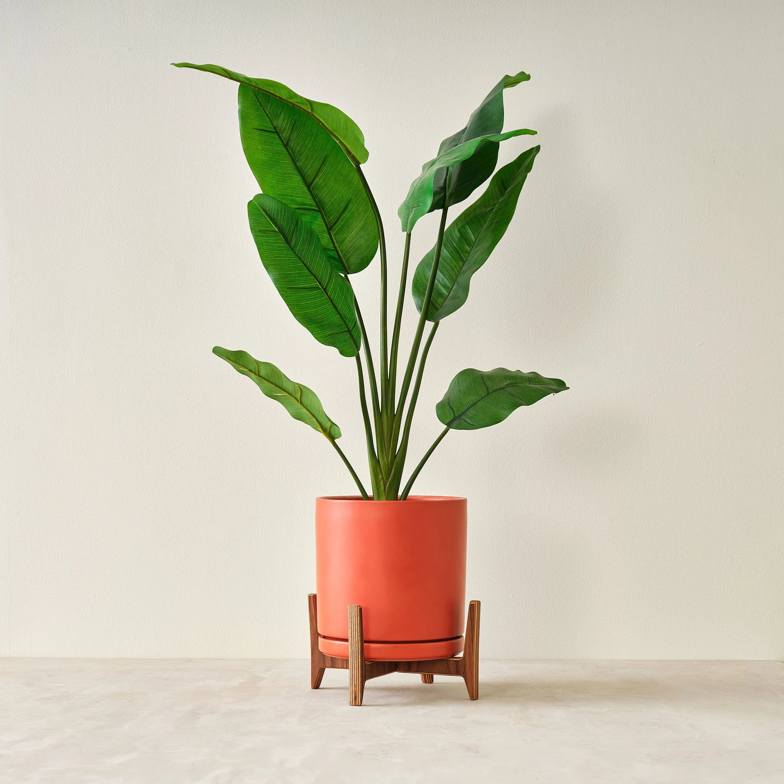 Plant Stand